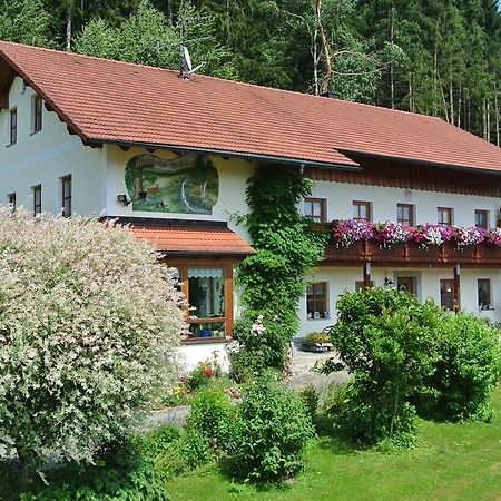 Haus Am Waldrand - Ferienwohnung Augustin Grafenau  Exteriör bild