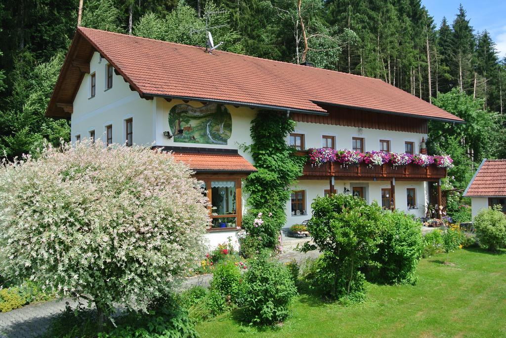 Haus Am Waldrand - Ferienwohnung Augustin Grafenau  Exteriör bild
