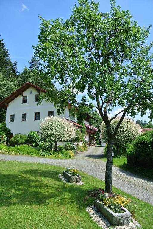 Haus Am Waldrand - Ferienwohnung Augustin Grafenau  Exteriör bild