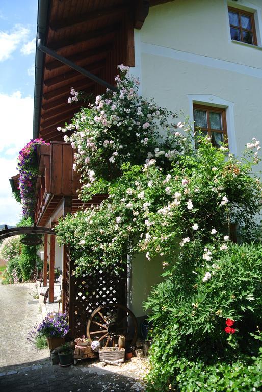 Haus Am Waldrand - Ferienwohnung Augustin Grafenau  Exteriör bild
